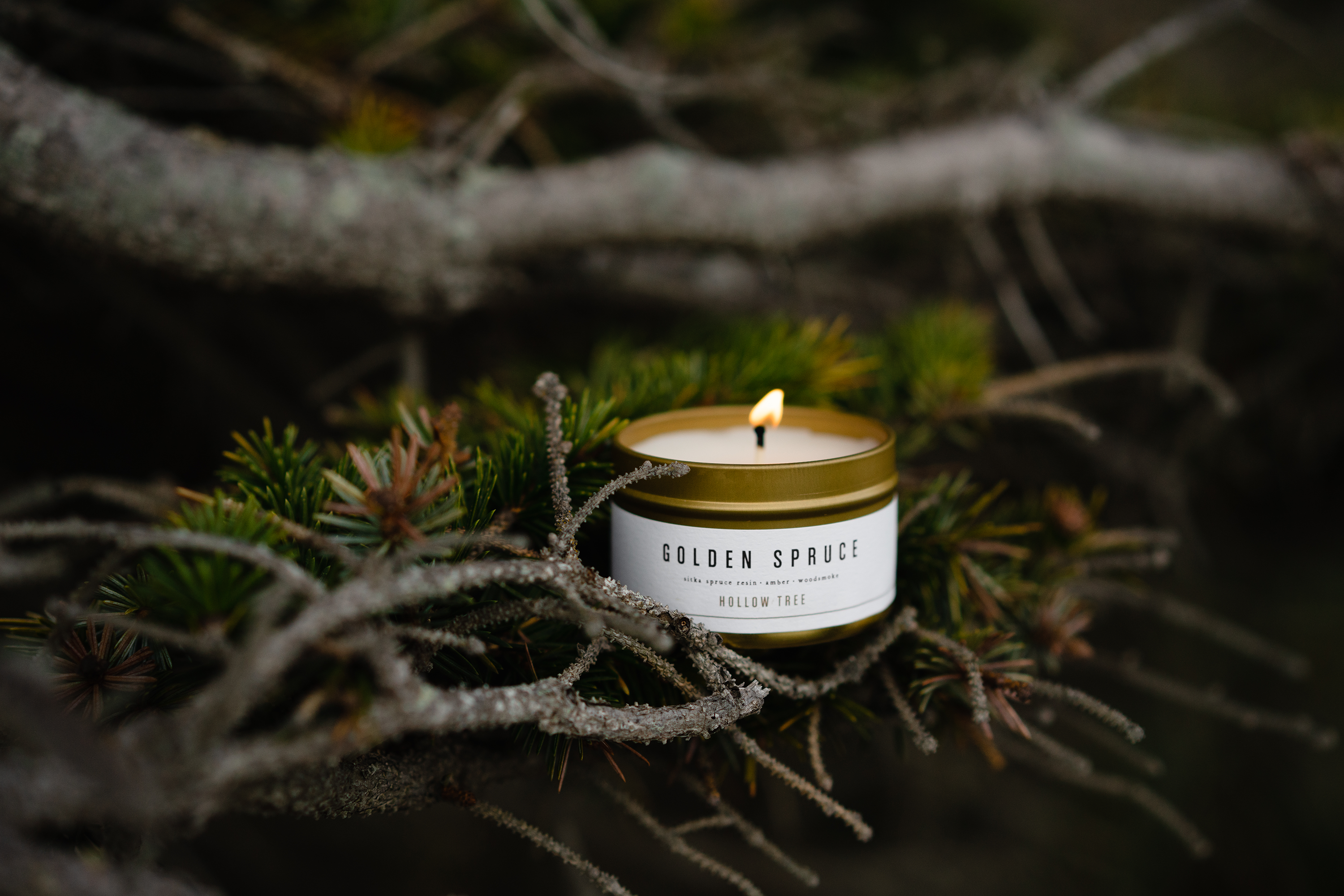 Meet the Maker: Hollow Tree Candle Co.