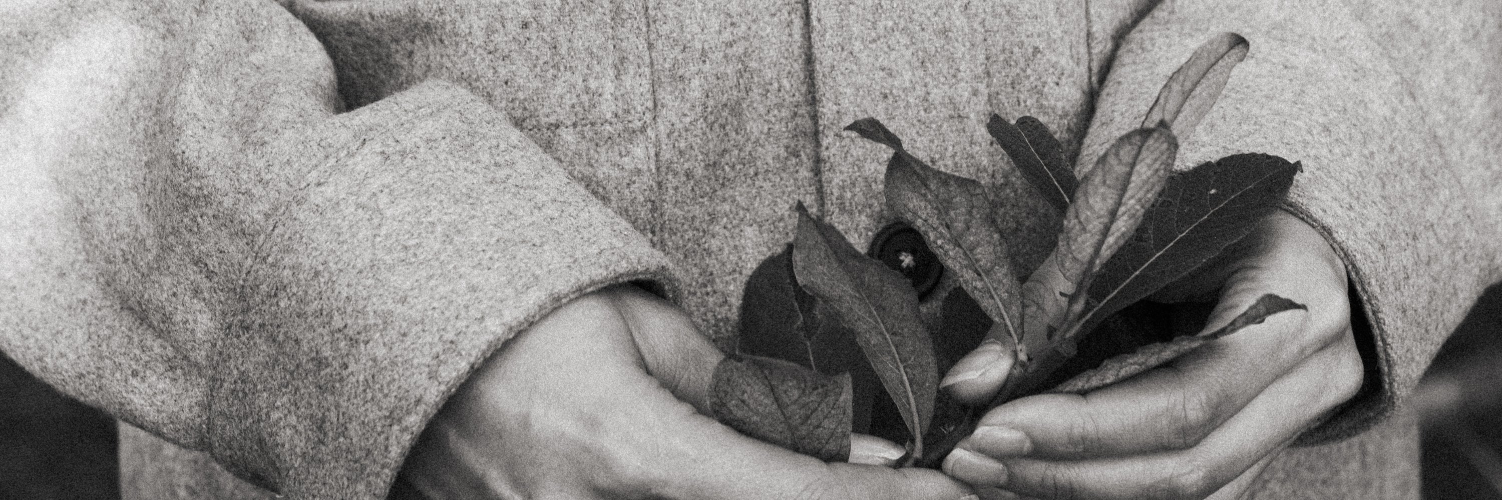 Holiday Gift Bundles