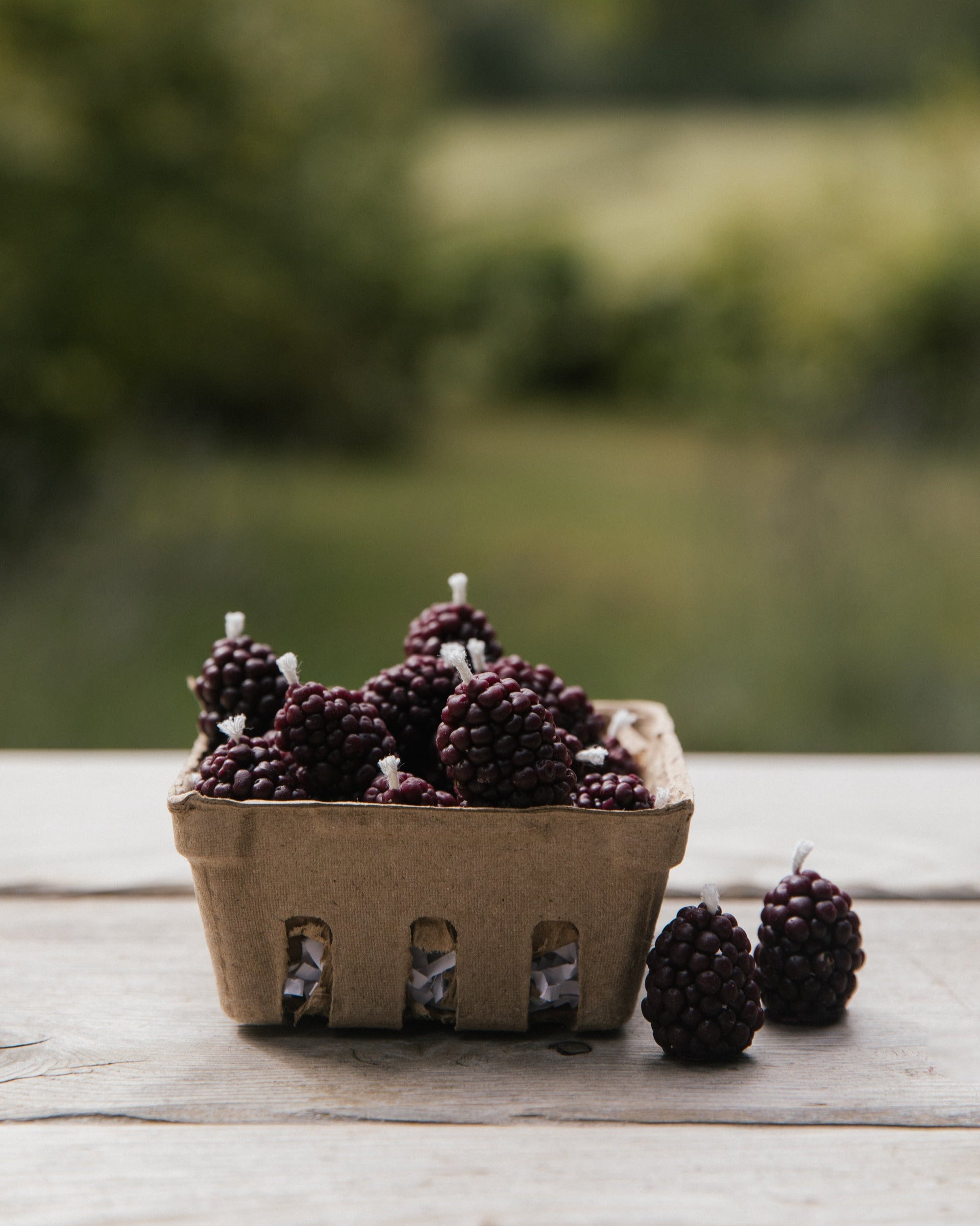 Cardboard berry container with blackberries on a wooden surface outdoors