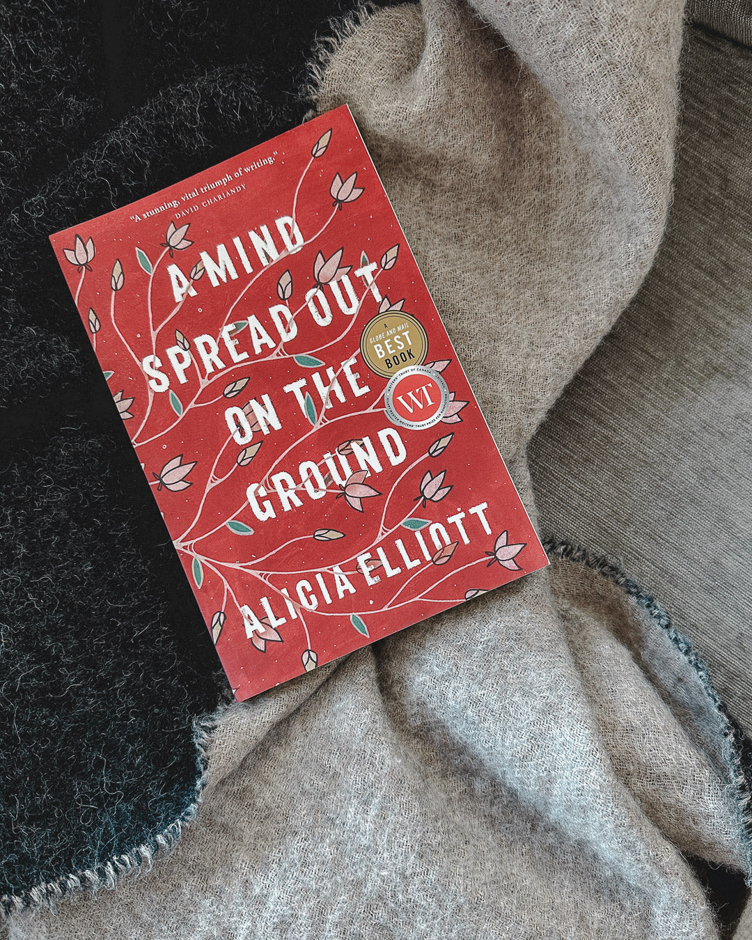 A Mind Spread Out on the Ground