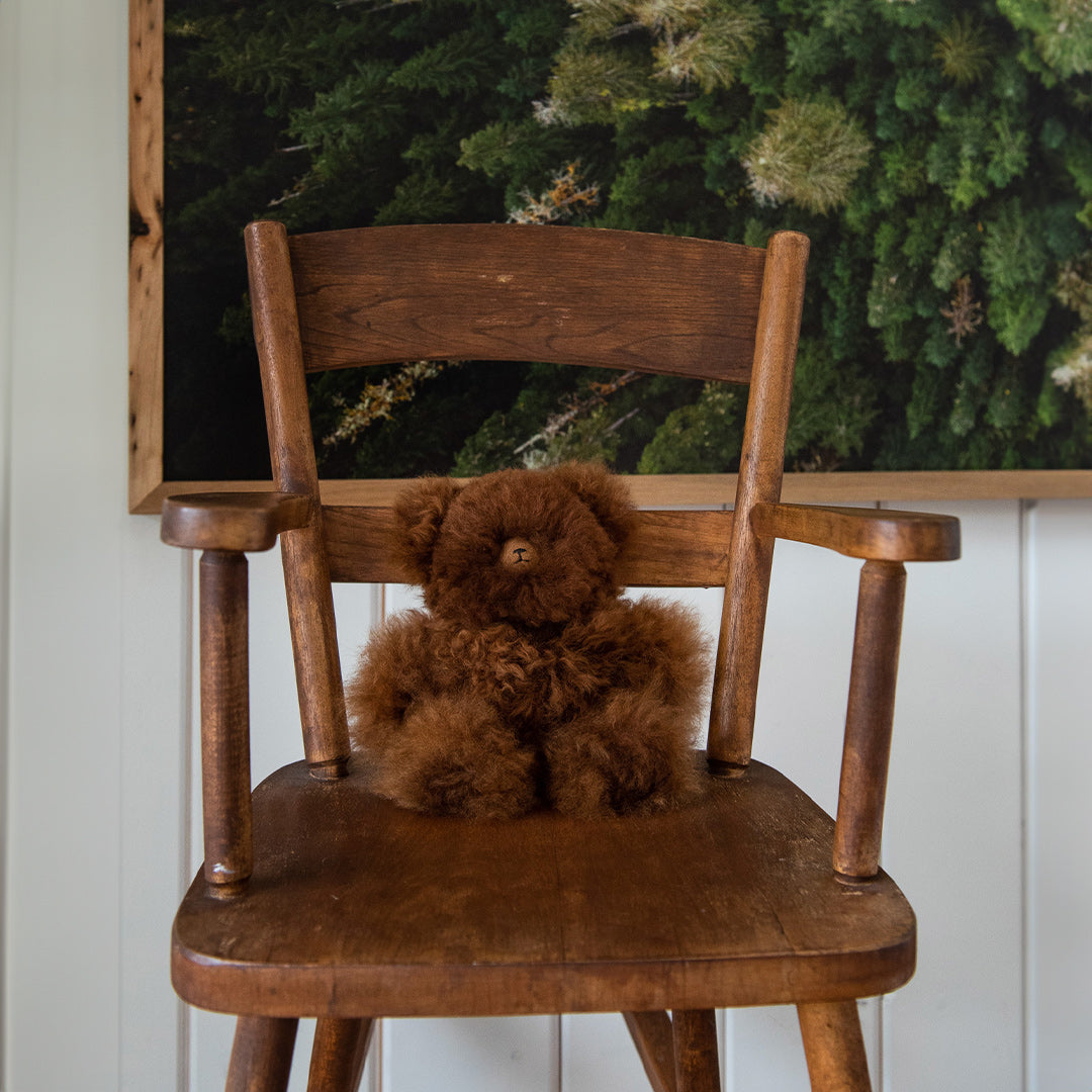 Teddy Bear