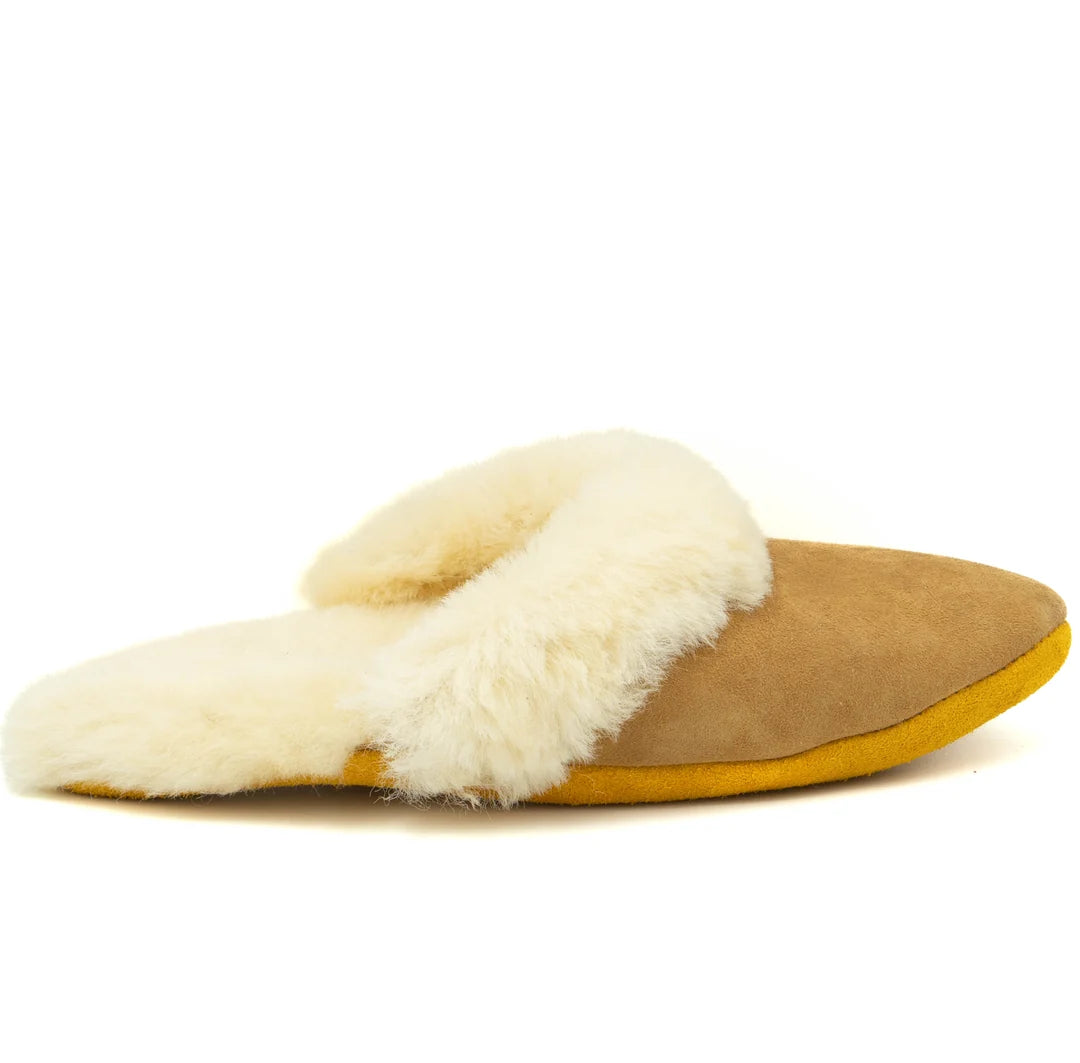 Slipper with white fur lining on a white background