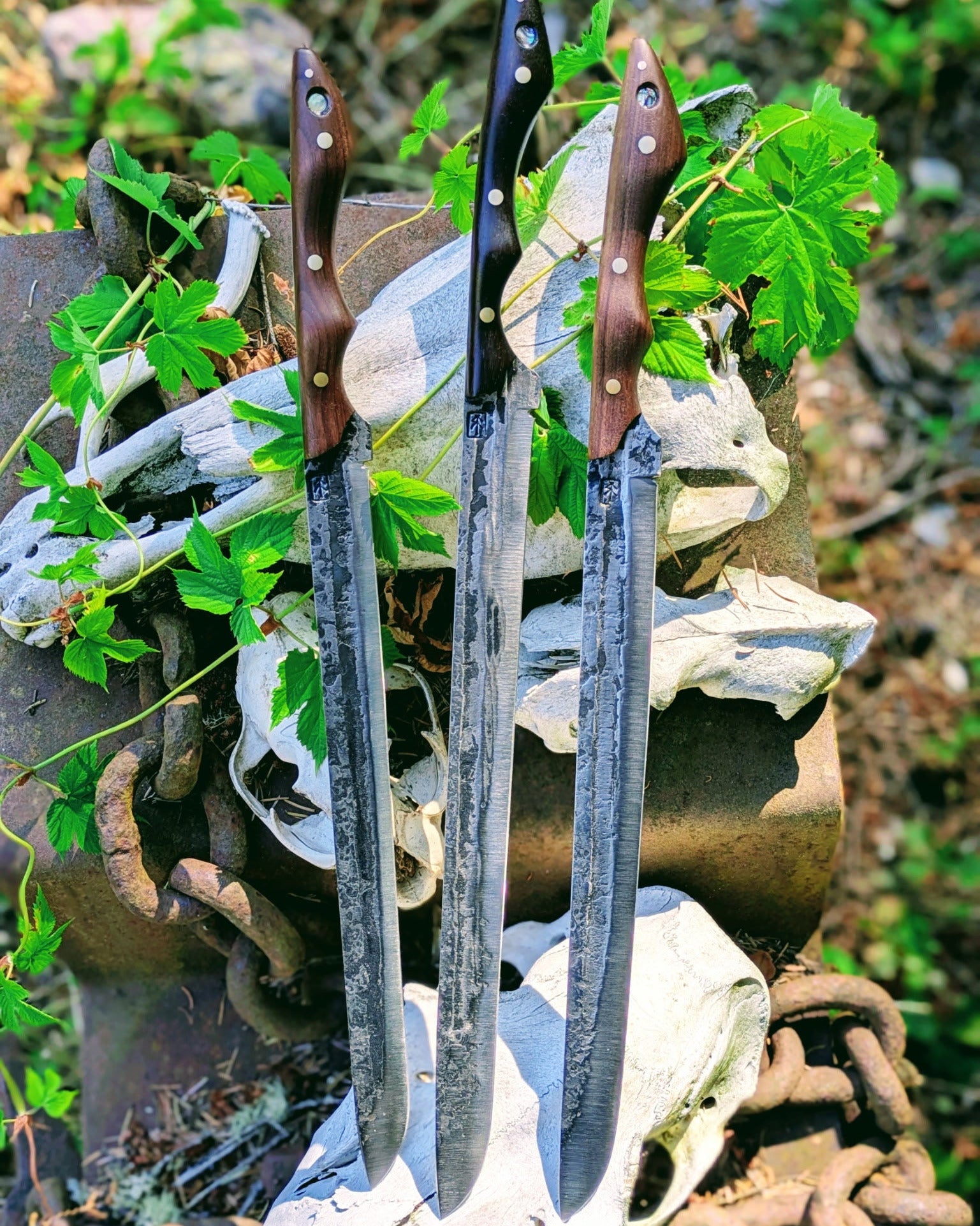 Three large fixed-blade champagne sabres with dark steel blades and brown wooden handles are displayed upright outdoors on a rustic metal container with bones and green leaves.
