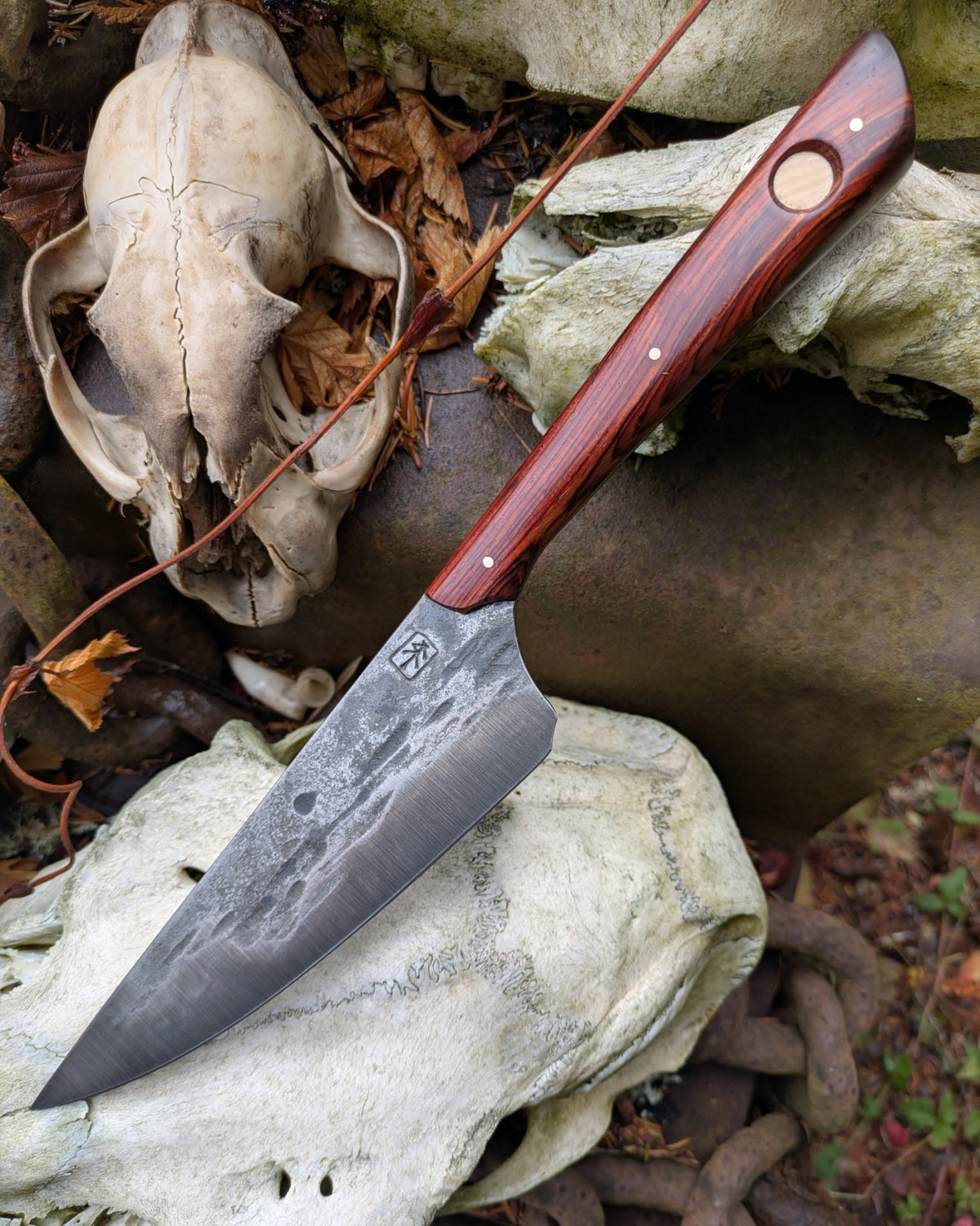a steel knife with reddish handle on bones and rocks