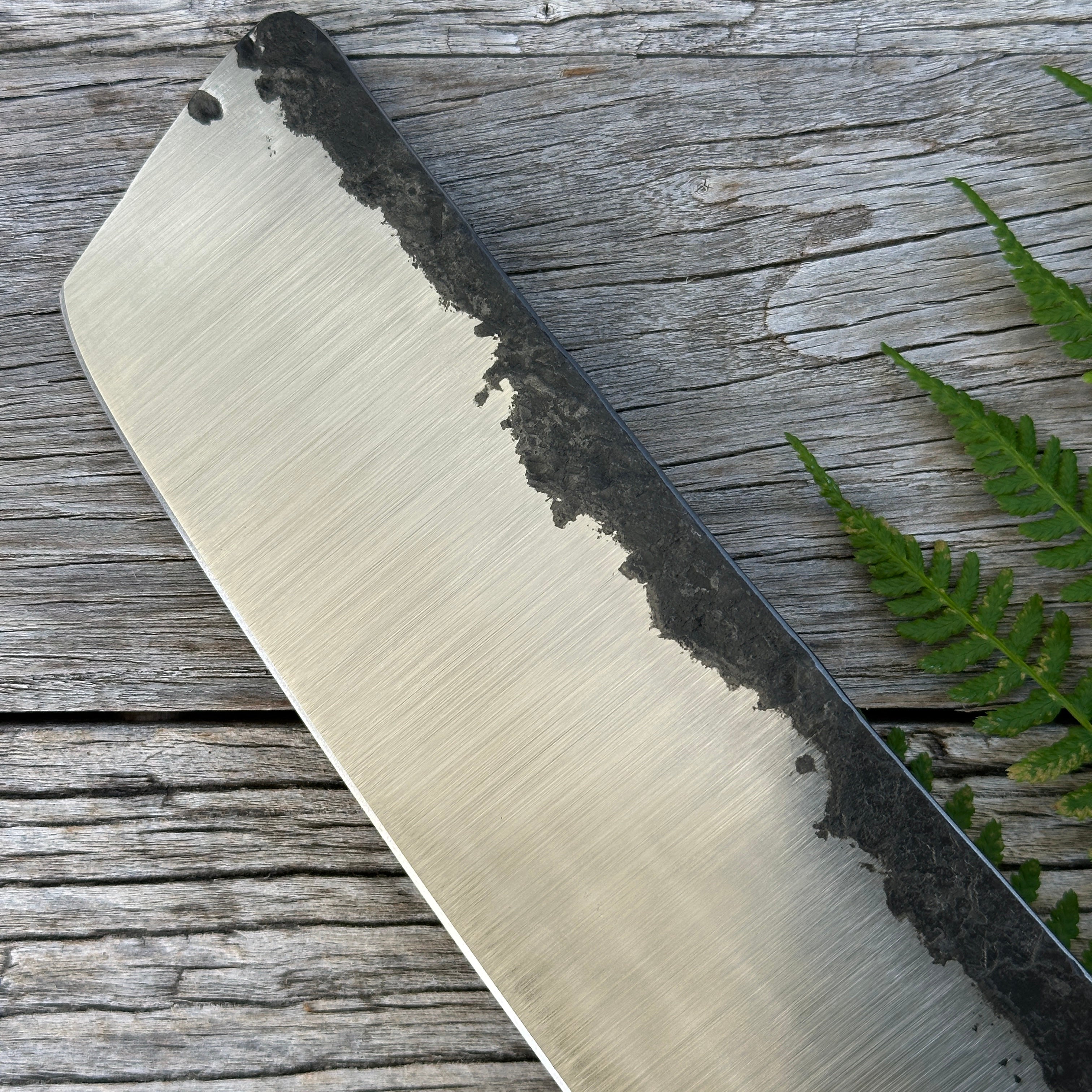 Close-up of a Leechtown Blacksmith Co. for Confluence Nimmo Bay knife blade on a wooden surface with green leaves.