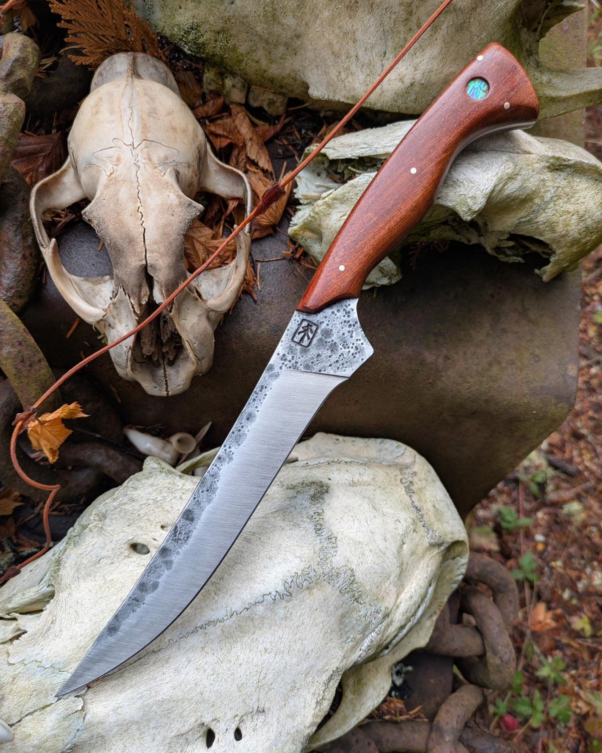 a steel knife with brown handle on rocks and bones