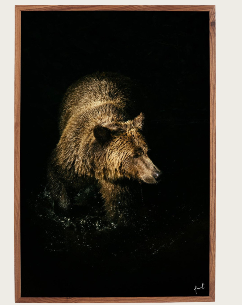 "From the Darkness" Photographic Print by Jeremy Koreski for Confluence Nimmo Bay