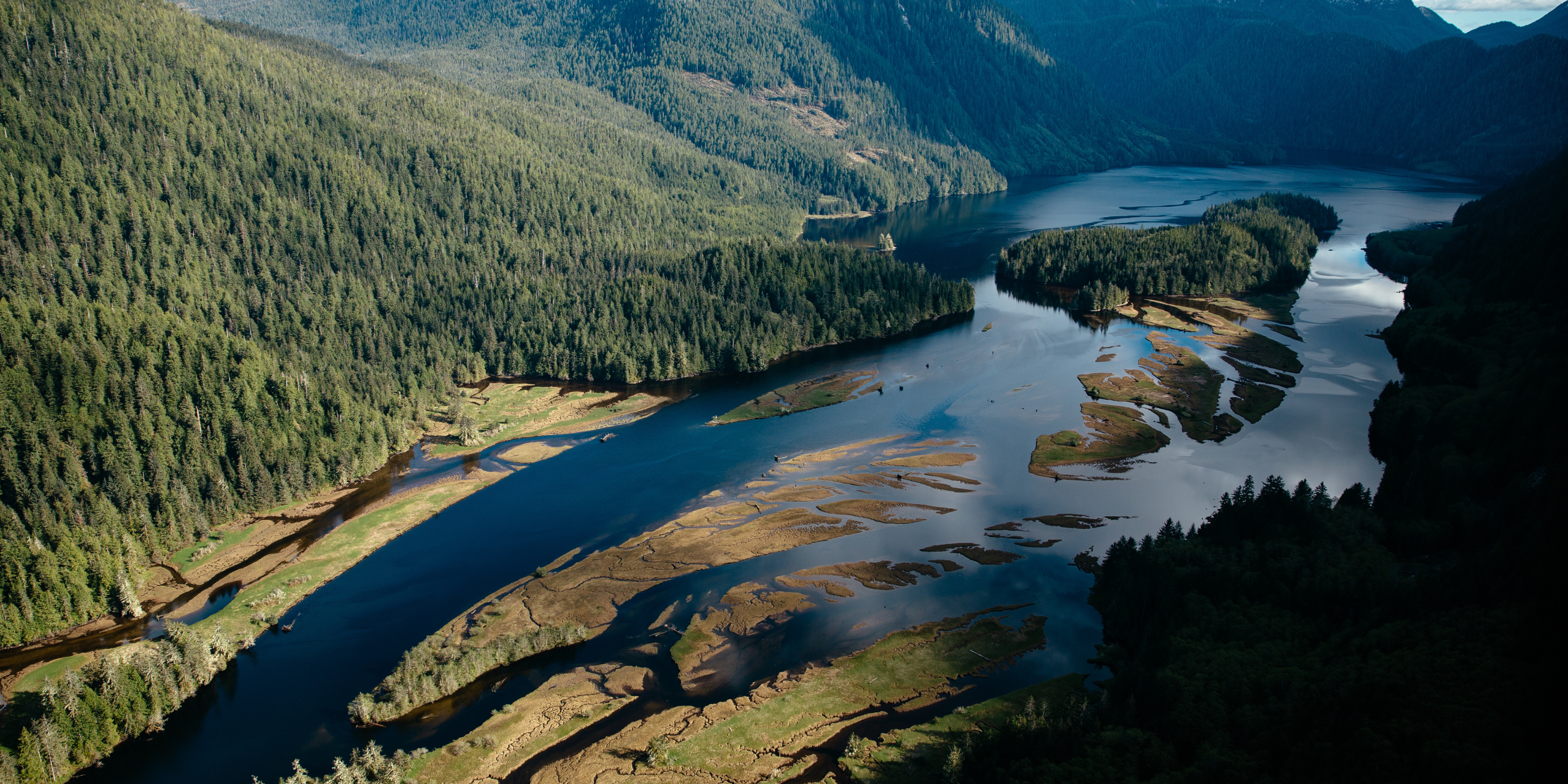 an aerial view of nimmo bay
