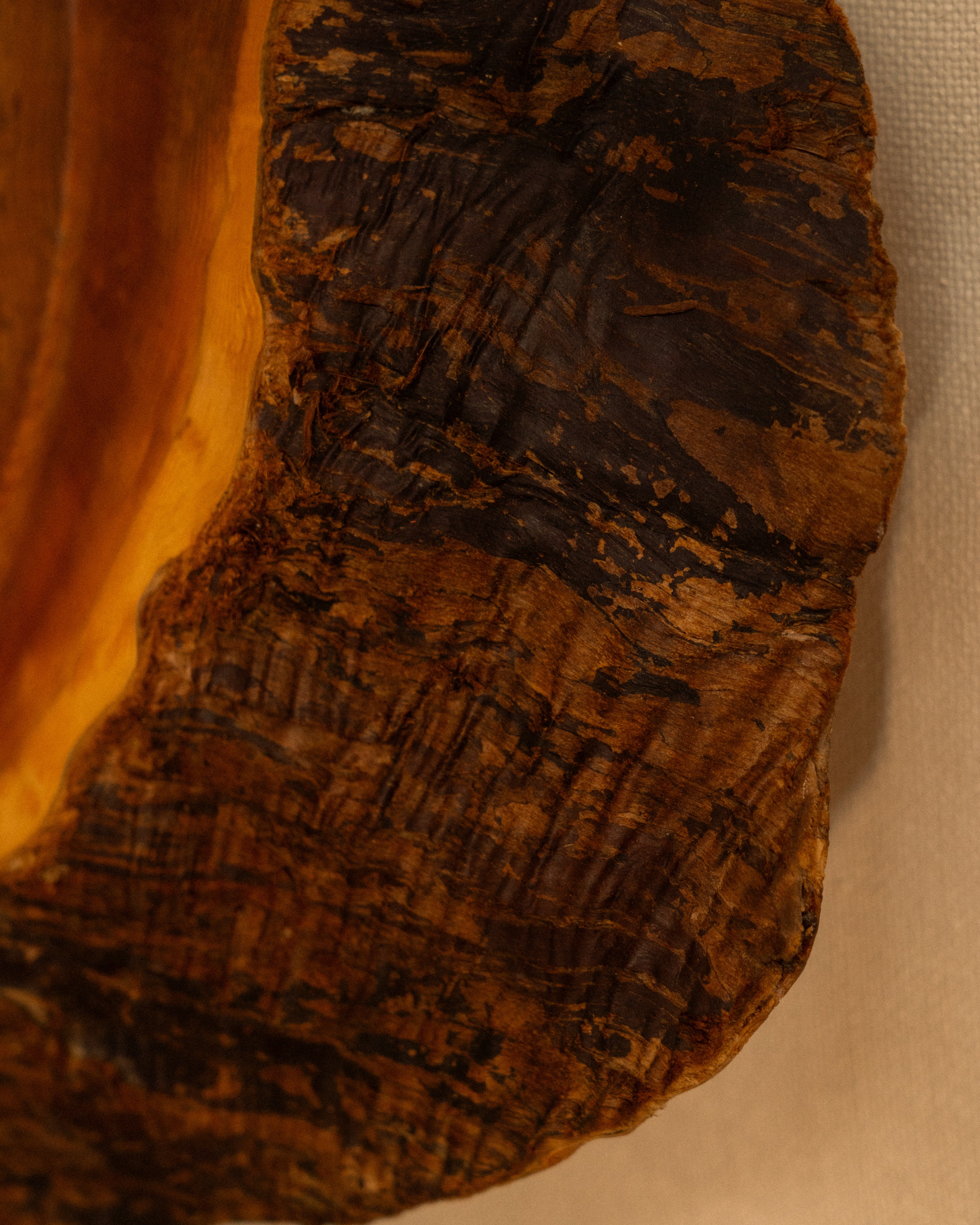 Close-up of a textured brown surface with intricate patterns