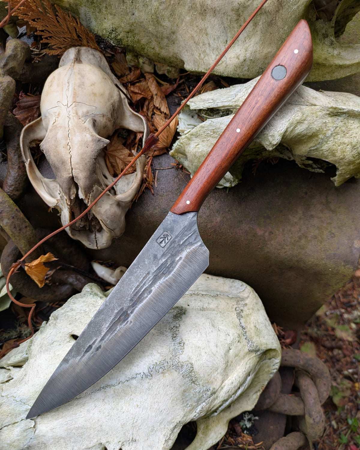 a knife with brown handle on top of bones.
