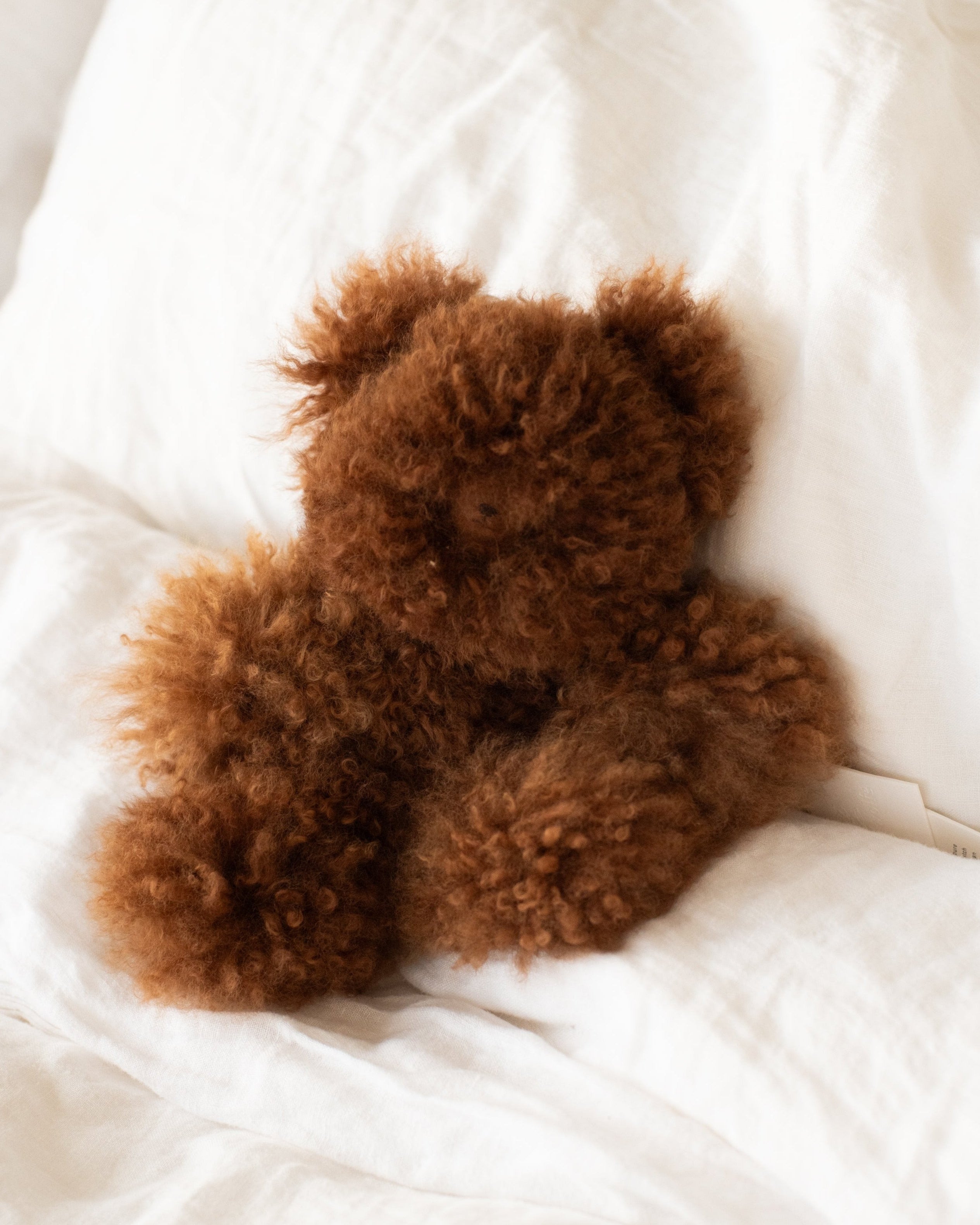 agnes wolfe small teddy on a bed