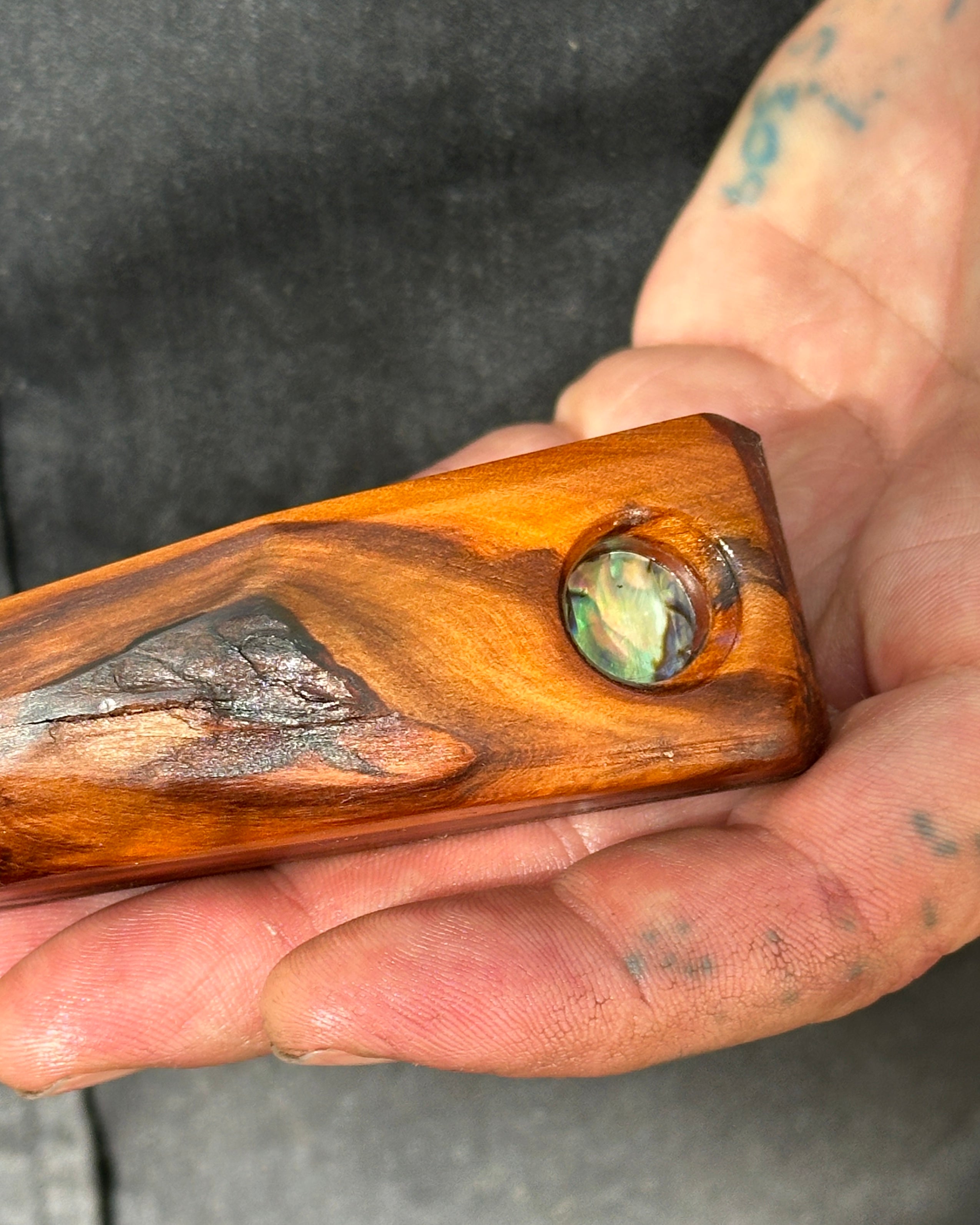 Wooden oyster shucker with an abalone held in a hand 