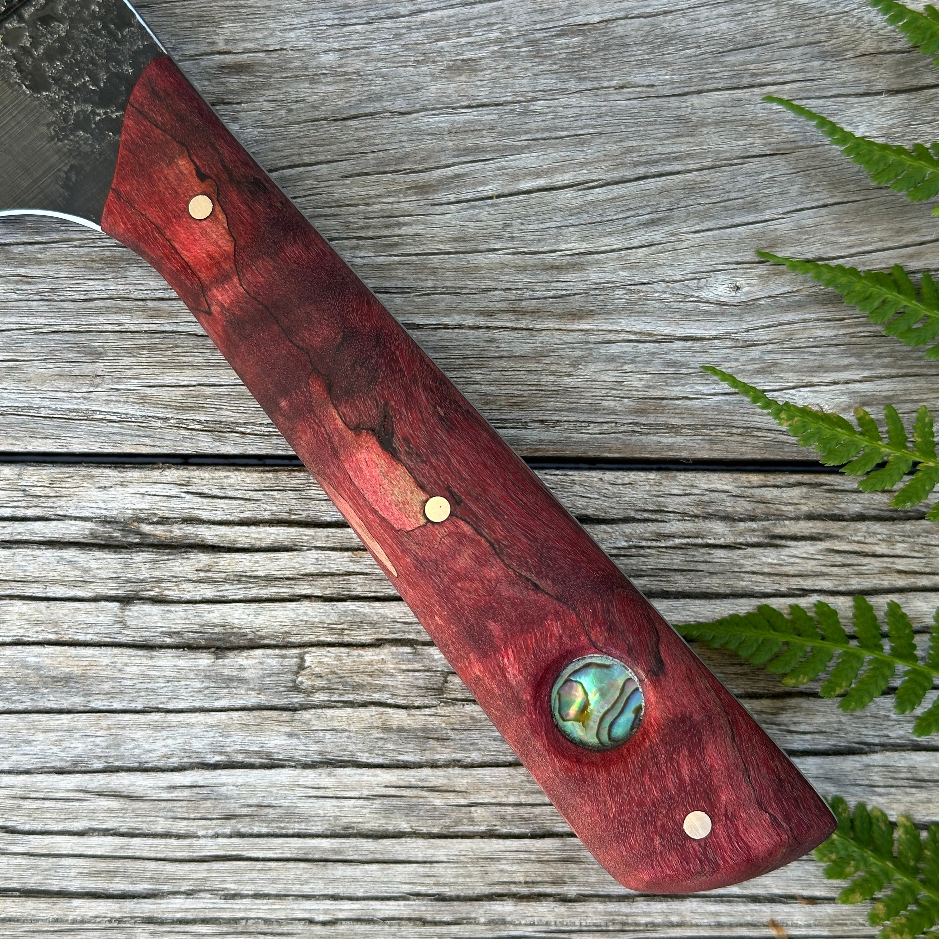 Leechtown Blacksmith Co. for Confluence Nimmo Bay knife with paua shell inlay on a wooden surface with fern leaves.