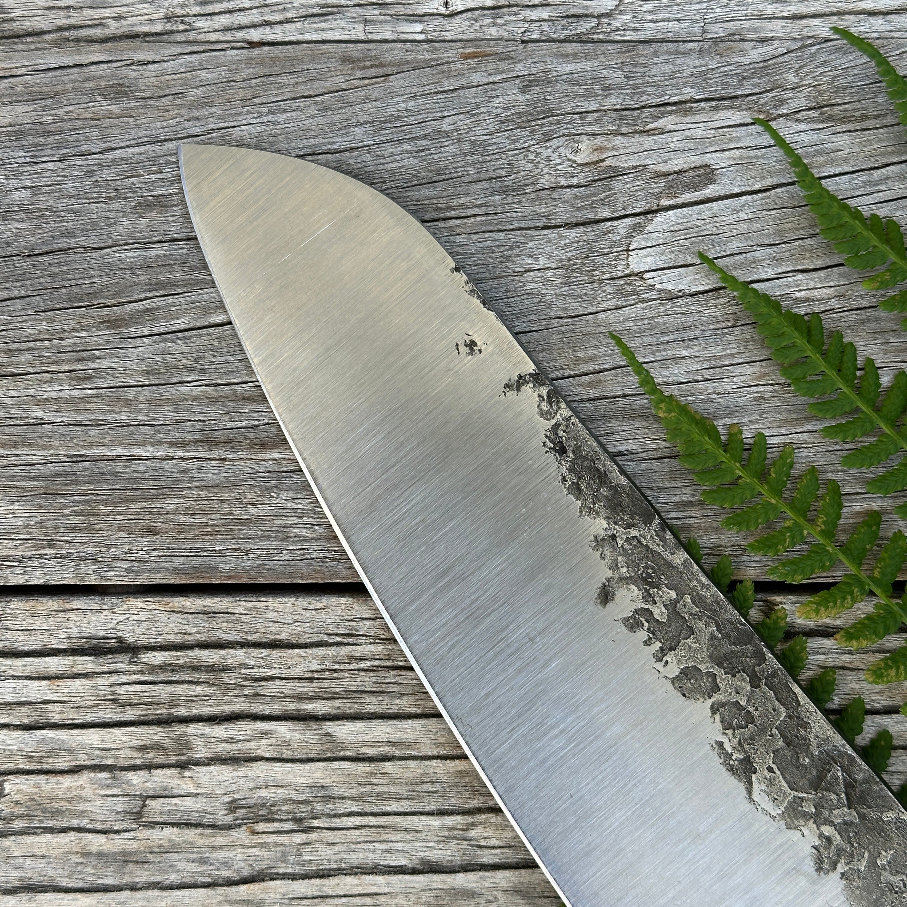 Long knife blade on a wooden surface with greenery. Leechtown Blacksmith Co. for Confluence Nimmo Bay knife