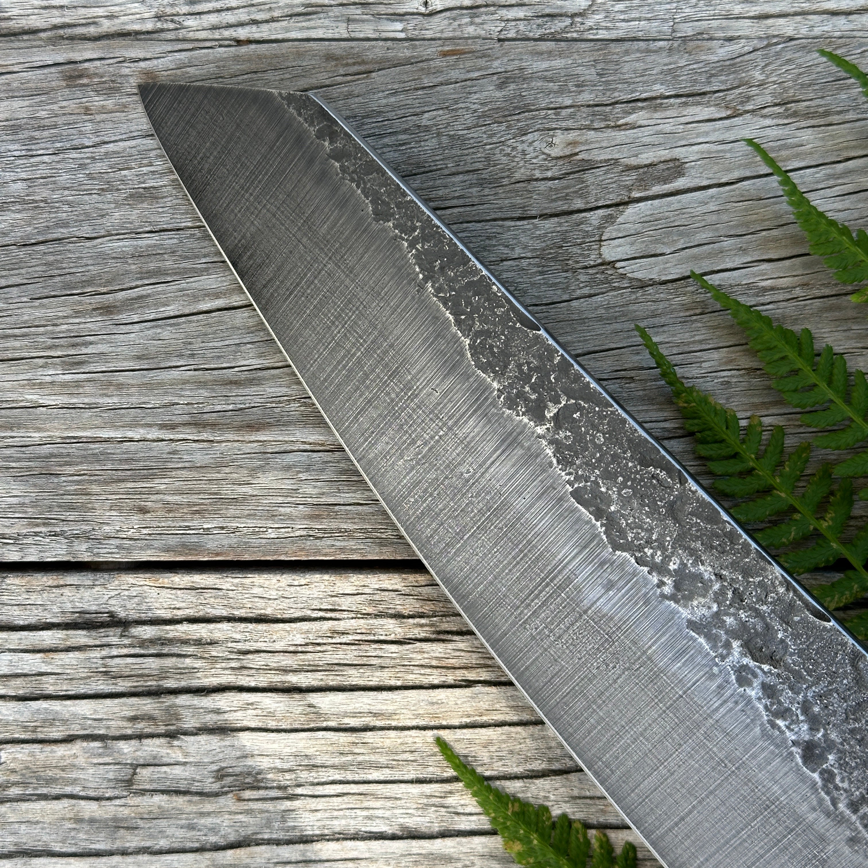 Leechtown Blacksmith Co. for Confluence Nimmo Bay knife - blade on a wooden surface with green ferns