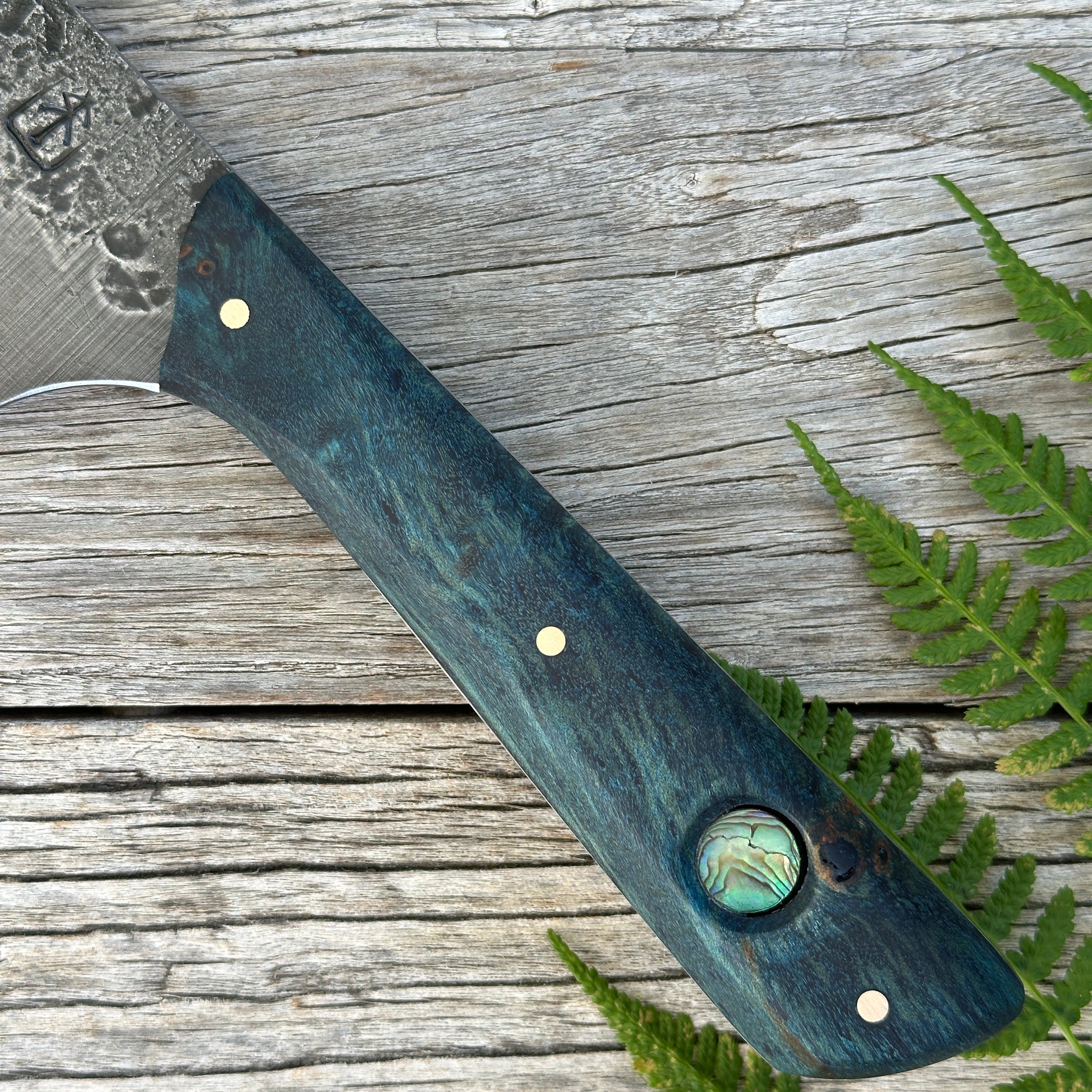 Leechtown Blacksmith Co. for Confluence Nimmo Bay knife with a wooden handle featuring a paua shell inset on a wooden surface with ferns.