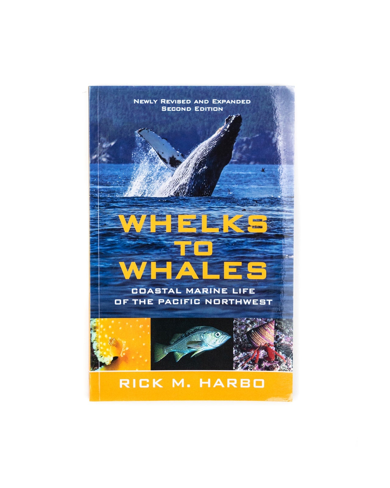 Image of the Whelks to Whales Coastal Marine Life of the Pacific Northwest book. Written by Rick M. Harbo