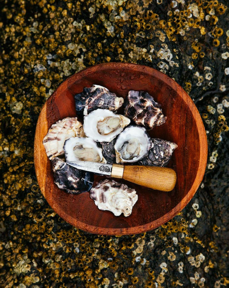 oyster shucker with oysters