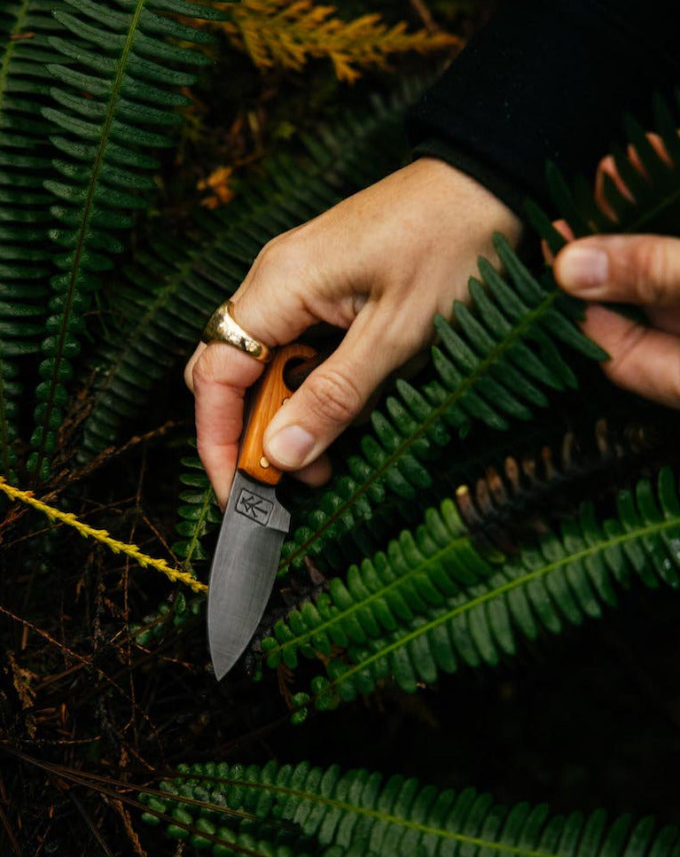 foraging knife cutting a fern