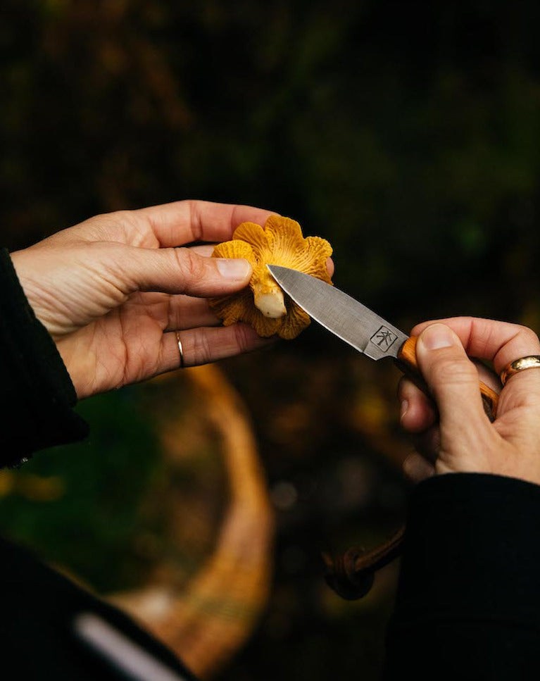 foraging knife clean chanterelle mushrooms