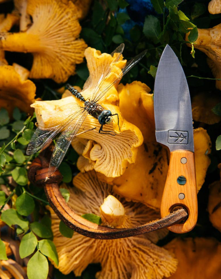 foraging knife in a basket with chantrelles